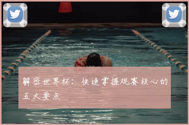 解密世界杯：快速掌握观赛核心的五大要点