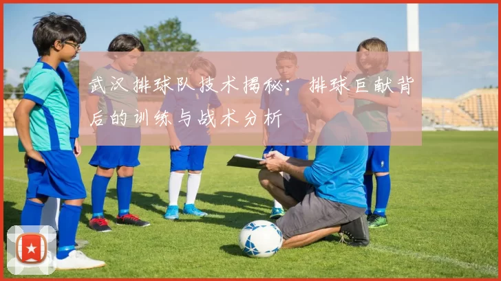 武汉排球队技术揭秘：排球巨献背后的训练与战术分析