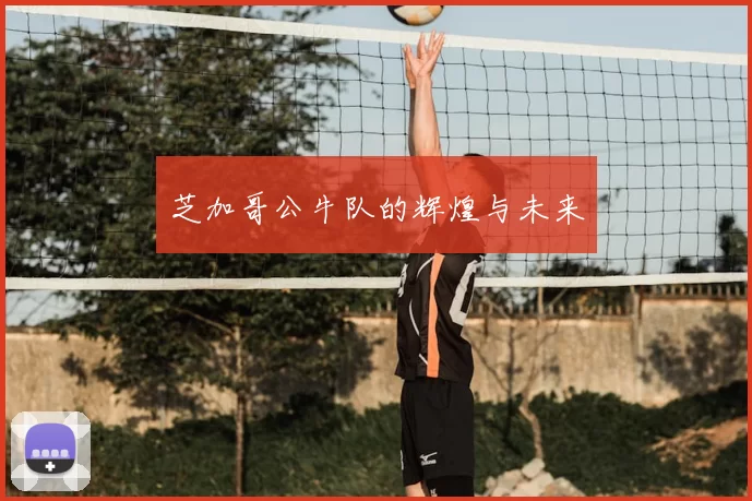 芝加哥公牛队的辉煌与未来