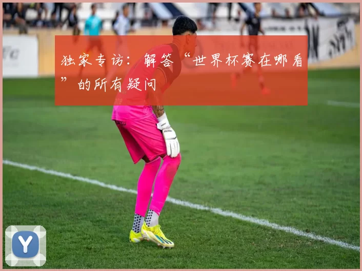 独家专访：解答“世界杯赛在哪看”的所有疑问