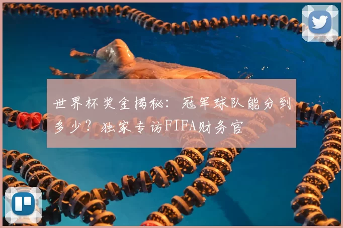 世界杯奖金揭秘：冠军球队能分到多少？独家专访FIFA财务官