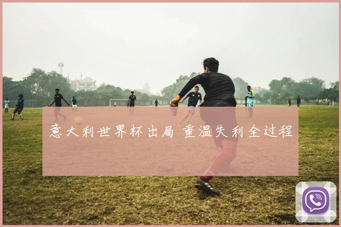 意大利世界杯出局 重温失利全过程