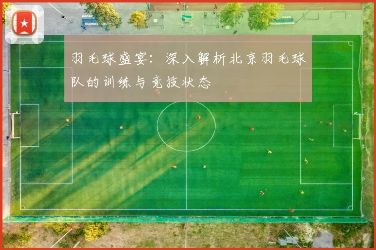 羽毛球盛宴：深入解析北京羽毛球队的训练与竞技状态
