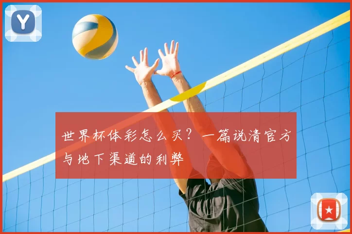 世界杯体彩怎么买？一篇说清官方与地下渠道的利弊