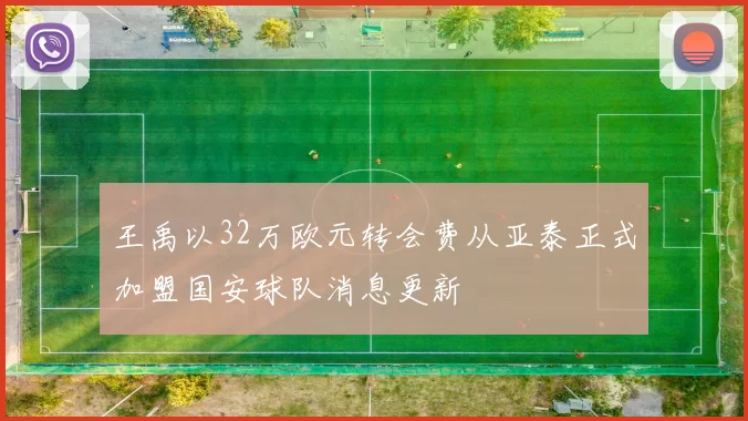 王禹以32万欧元转会费从亚泰正式加盟国安球队消息更新