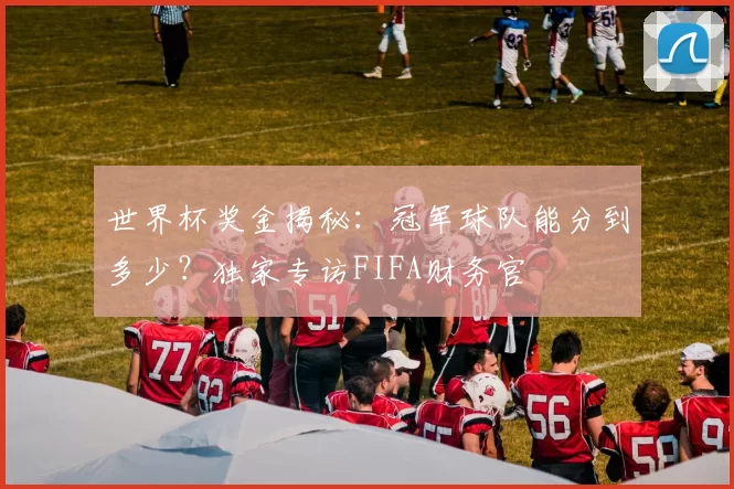 世界杯奖金揭秘：冠军球队能分到多少？独家专访FIFA财务官