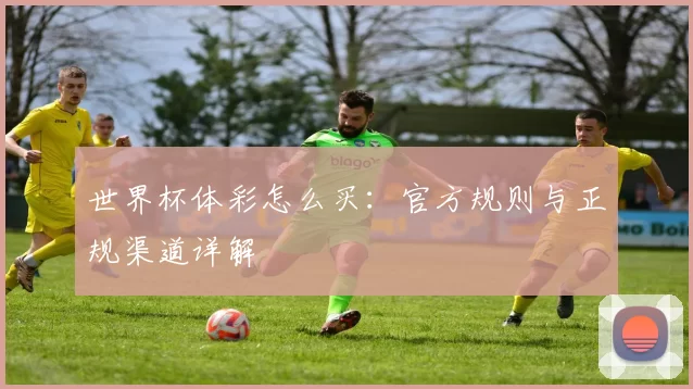 世界杯体彩怎么买：官方规则与正规渠道详解